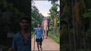 Bro in kerala😘😘🥰 BOSS shorts viralvideo [upl. by Oira]