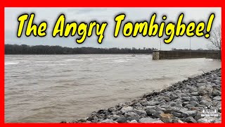 The Angry Tombigbee [upl. by Anaujik547]