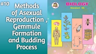 Methods of Asexual Reproduction l Gemmule Formation and Budding Process Explained l 12thclassbiology [upl. by Autrey64]