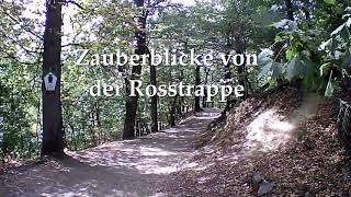 Zauberblicke von der Rosstrappe I Harz [upl. by Seel784]