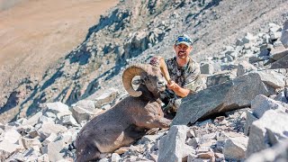 2022 Colorado DIY bighorn sheep hunt [upl. by Chandless]