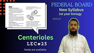 Centerioles  Centerioles structure and function  class 11 [upl. by Nagear]