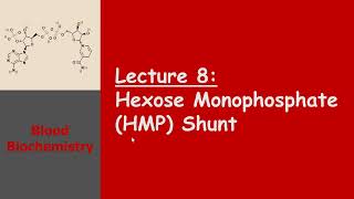 Blood Biochemistry  Hexose Monophosphate HMP Shunt [upl. by Llorrad429]