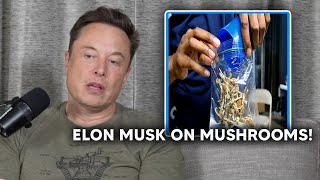 Elon Musk On Taking Mushrooms [upl. by Wake201]