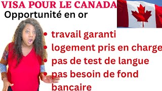 Nouveau programme d’immigration au Canada atlantique Nouveau Brunswick avec permis de travail [upl. by Audrit]