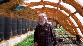 Greenhouse Construction Four Years After Greenhouse Construction [upl. by Gorlicki]