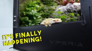 Unboxing the Ultimate Gecko Enclosure  Viperia PVC Tanks [upl. by Miarhpe36]