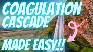 Coagulation Cascade Made EASY [upl. by Nrehtak]