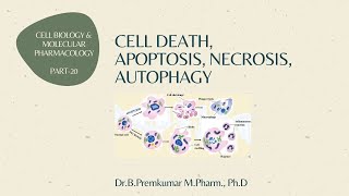 Cell death  Apoptosis Necrosis Autophagy  CBMP  Part20 [upl. by Gnet]