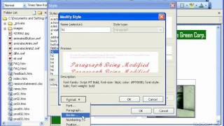 FrontPage Tutorial Creating a Style Sheet Microsoft Training Lesson 151 [upl. by Golden]