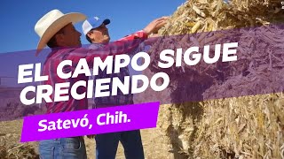 Agricultores beneficiados con apoyos para salir adelante en tiempos de sequía [upl. by Rubie]