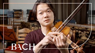 Sato on Bach St Matthew Passion BWV 244  Netherlands Bach Society [upl. by Caril]