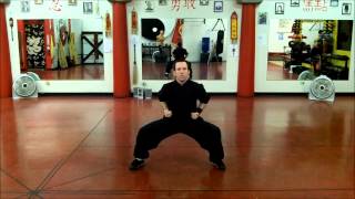 Salute Form Gin Lai Jong Hao Lohan School of Shaolin  Las Vegas Kung Fu [upl. by Chafee]