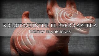 Xoloitzcuintle el perro azteca  Tradiciones y costumbres de México [upl. by Ellenaj]