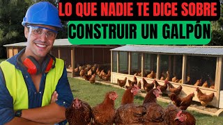 gallinas ponedoras ¿Qué se debe tener en cuenta para la construcción de un galpón [upl. by Engleman]