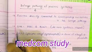 Salvage pathway of purine nucleotide synthesis [upl. by Hardej]