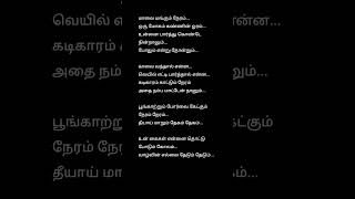 Maalai Mangum Neram 😘💋 Tamil song lyrics 💋😘 Rowthiram Movie tamillyrics [upl. by Corene]