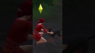 How to find and adopt stray pet in The Sims 4 [upl. by Perpetua]