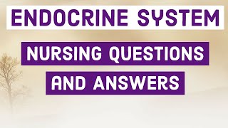 Endocrine System  Nursing Questions and Answers hormone [upl. by Nele574]