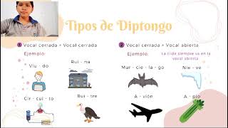 Diptongo y hiatos reglas y conceptos [upl. by Harriot879]