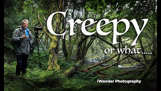 Scouting a creepy pond and forest location [upl. by Chanda]