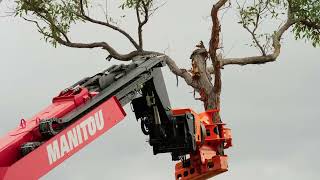 Manitou Arbor Solutions  Grapple Saw on Rotating Telehandler [upl. by Eeliak]