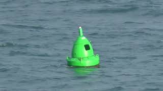 Green Can Buoy Knap Plymouth Sound Devon England 5th May 2024 [upl. by Wohlen]