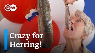 Why the Dutch LOVE herring  The Netherlands’ Best Street Food [upl. by Shue]