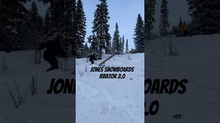 Frontflip of the pole jam tamedog snowboarding frontflip [upl. by Madai879]