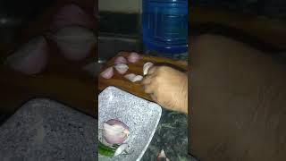 Payaj katne ka tarina food onion recipe cooking kunalkapurrecipes ✅😭 [upl. by Davie360]