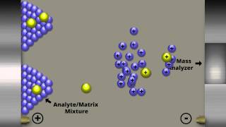 MatrixAssisted Laser Desorption Ionization [upl. by Bathsheb]