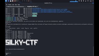 Silky CTF 1 Mastering Penetration Testing in Cybersecurity [upl. by Geoffry543]