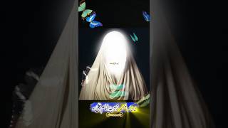 Bibi ummul Banin imam Alis second wife Documentary yshorts shrots viralshort imamali [upl. by Elrahc]