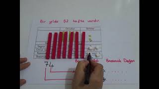 2SINIF BASAMAK VE SAYI DEĞERİ [upl. by Ib]