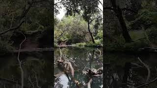 Kilcoy Creek dji avata2 dronefootage [upl. by Ydoj348]