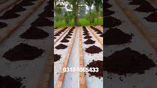 vermicompost worms segregation viralvideo wormfarm agriculture [upl. by Adrell]