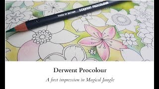 Derwent Procolour pencils A first impression in Magical Jungle [upl. by Lanette]