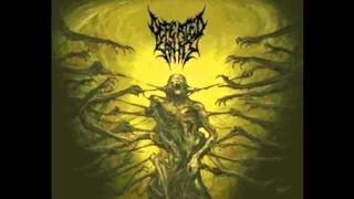 DEFEATED SANITY  Martyrium [upl. by Gerger]