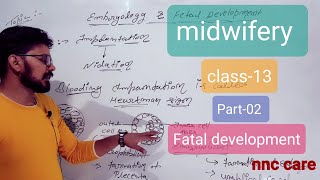 Fetal development classIInd midwifery nursing [upl. by Bonnice310]