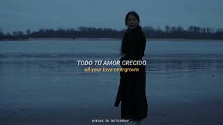 Novo Amor amp Ed Tullett  Ontario  Traducción al Español [upl. by Hseham795]