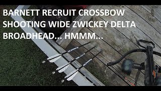 Barnett Blackcat RECRUIT ARROW Zwickey Delta Broadhead [upl. by Atikam]