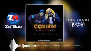 Coziem Ft Chef 187  Akamungulu Official Audio  ZedMusic  Zambian Music 2019 [upl. by Fleda]