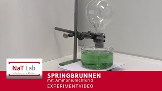 Springbrunnen mit Ammoniumchlorid  ein Experiment für den Fachunterricht Chemie [upl. by Anna-Diane]