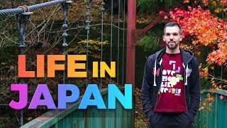 Life as a Foreigner in Japans Countryside [upl. by Martella714]