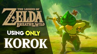 Can you BEAT Breath of the Wild using ONLY Korok Gear [upl. by Nyrok]