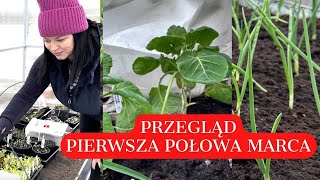 CO SIAĆ W MARCU PIERWSZA POŁOWA MIESIĄCA KTÓRE ROZSADY MOGĄ BYĆ W SZKLARNI  Ogród warzywny [upl. by Ididn]