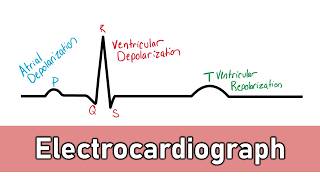 ECG Basics [upl. by Ahrat]