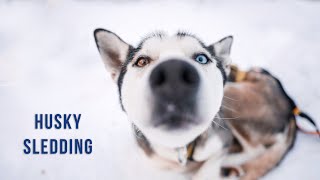 Husky sledding in Finnish Lapland  trailer [upl. by Mil329]