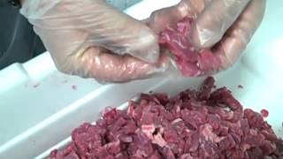 Beef Blade Meat AE5000 2D Test various cuts [upl. by Faustine745]