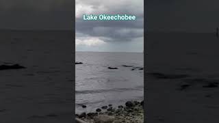 Lake Okeechobee Florida travel florida [upl. by Fraase]